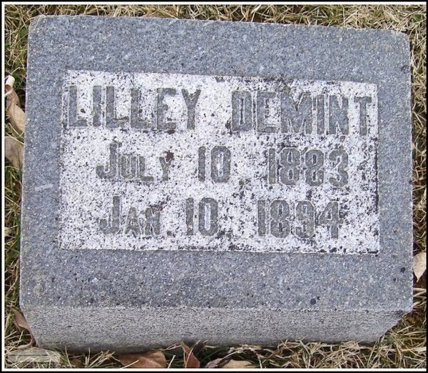 demint-lilley-tomb-west-union-ioof-cem.jpg