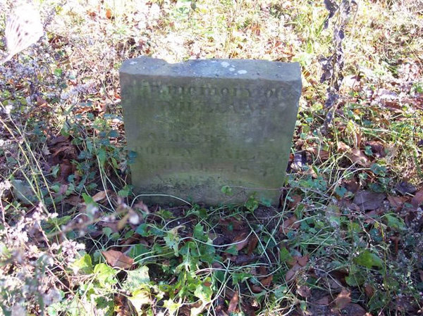 bailey-william-tomb-old-town-cem-washington-twp.jpg