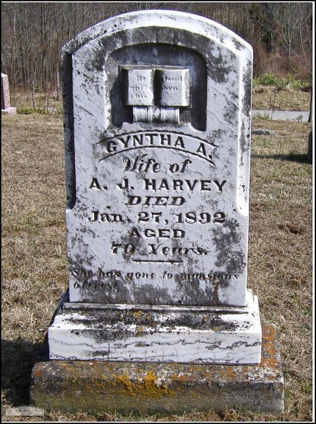 harvey-cyntha-a-tomb-prospect-cem-rt-73-highland-co.jpg