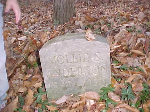 anderson-mollie-s-tomb-williamson-cem-washington-twp.jpg