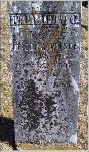 wilson-harriett-g-tomb-village-cem.jpg