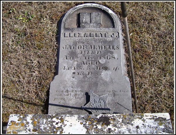 wells-elizabeth-j-tomb-village-cem.jpg