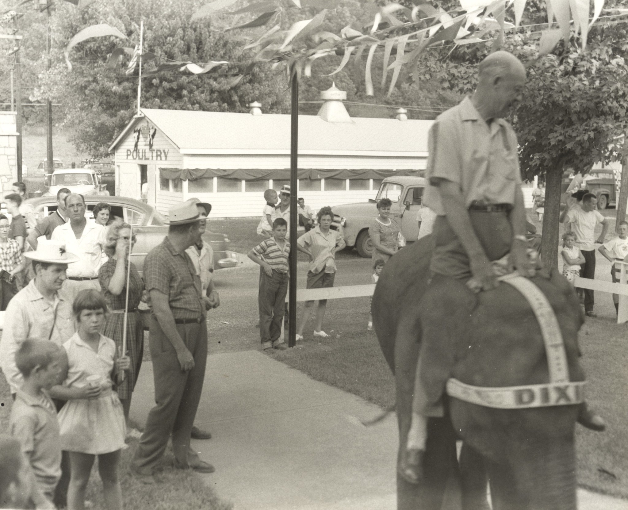 1960s circus elephant.jpg