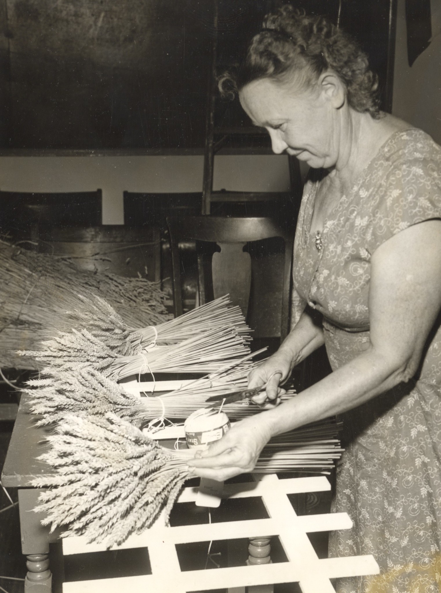 1962 tying grain Mrs Chas Violet.jpg