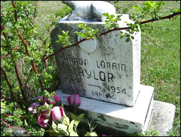 taylor-sharon-lorain-tomb-mt-joy-cem.jpg