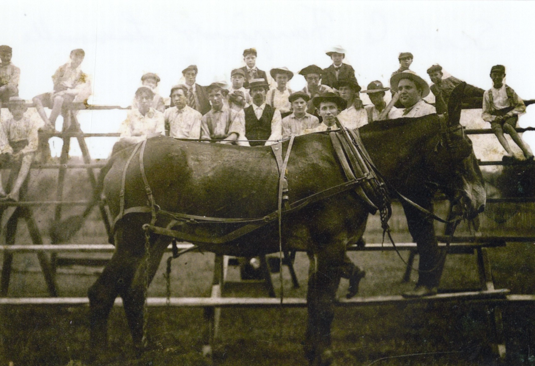 fair 1945.jpg