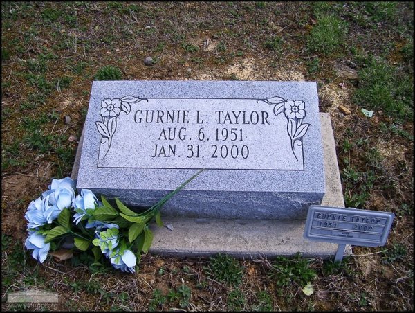 taylor-gurnie-l-tomb-mt-joy-cem.jpg