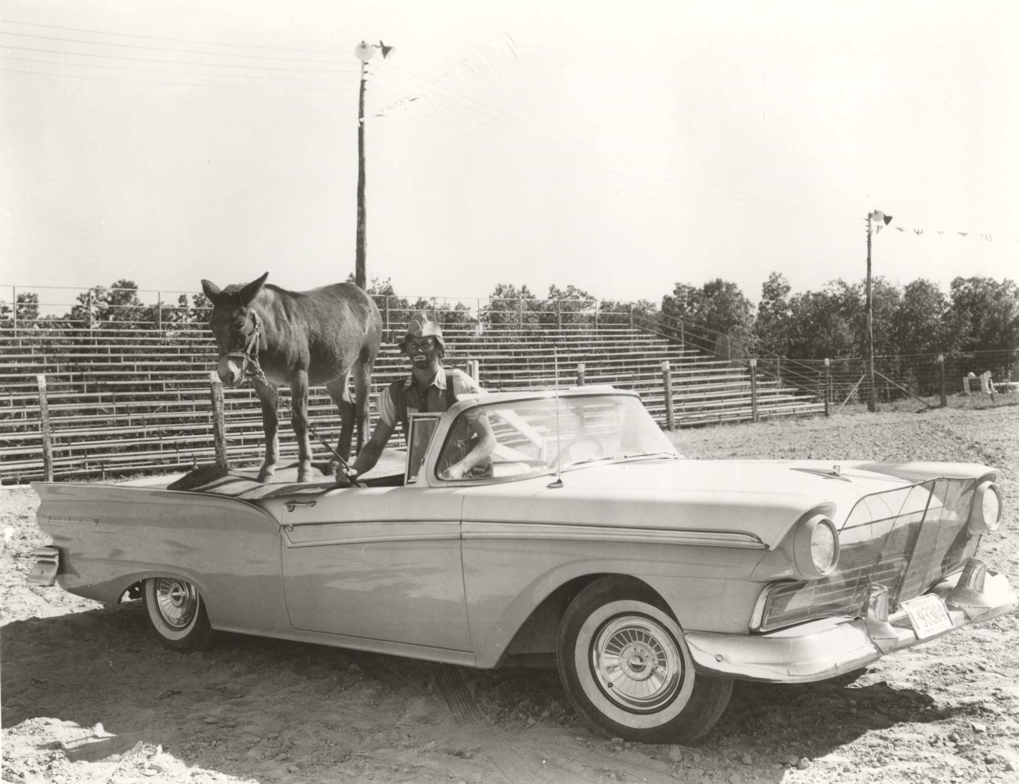 1970s clown with donkey.jpg