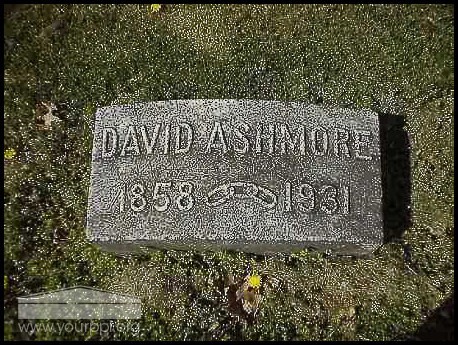 ashmore-david-tomb-confidence-cem-brown-co.jpg