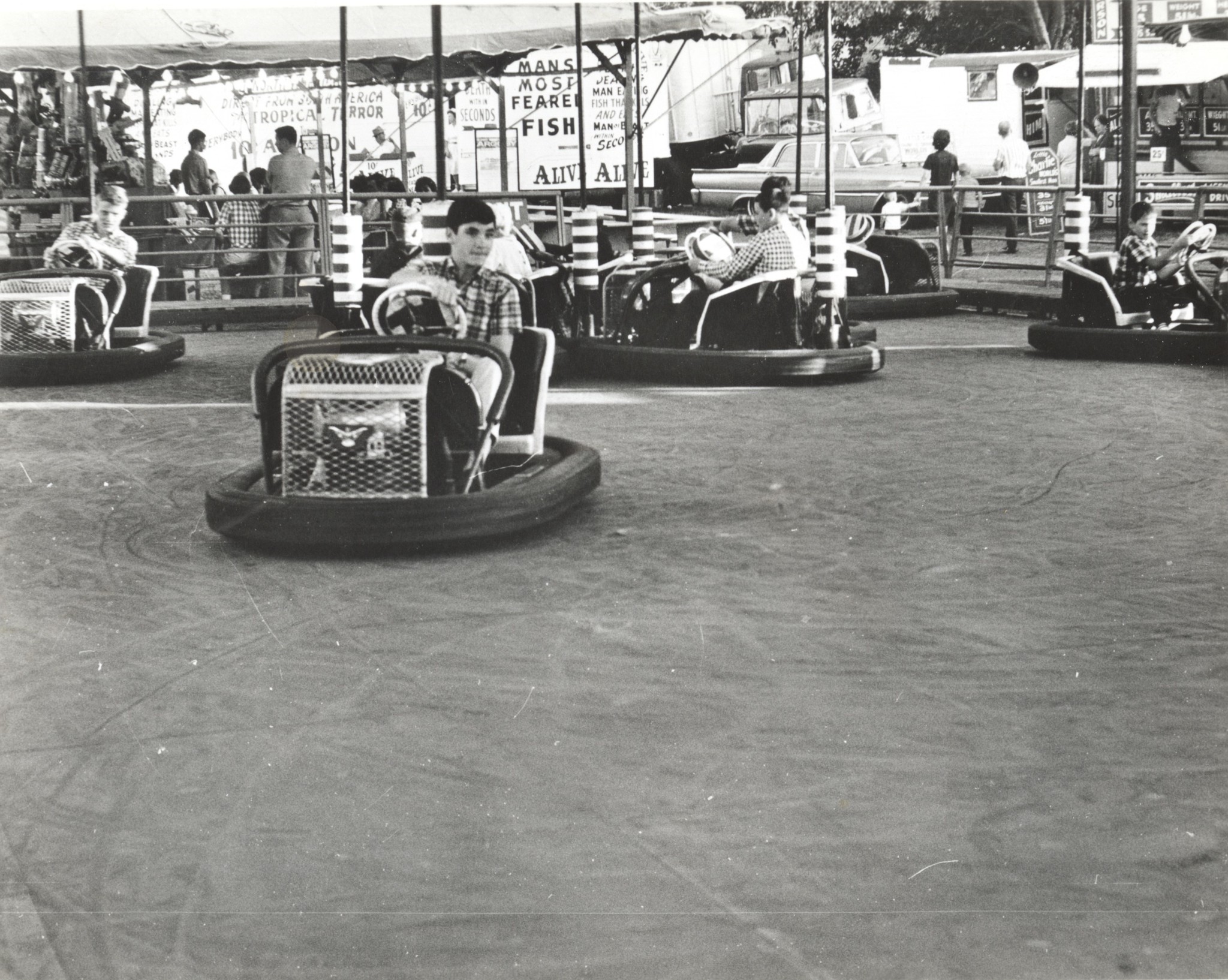 bumper cars 1960s.jpg