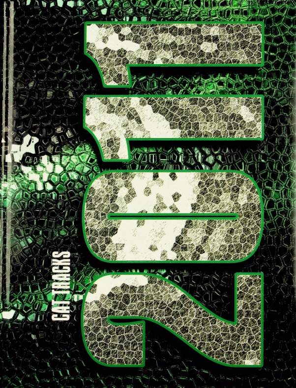 2011 Green High School Yearbook.pdf