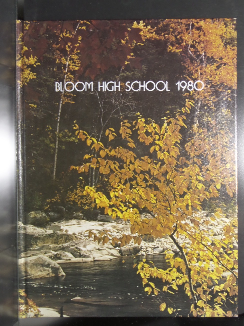 1980 South Webster Yearbook.pdf