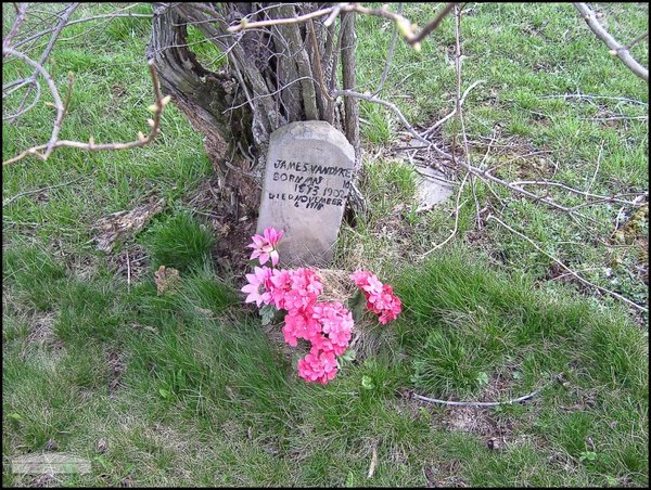 vandyke-james-tomb-mt-joy-cem.jpg