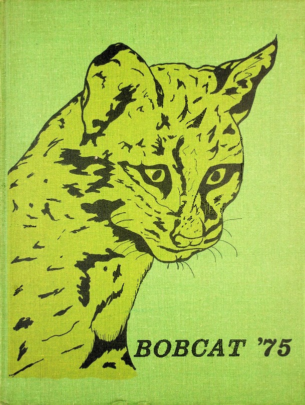 1975 Gree High School Yearbook.pdf