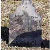 allen-elizabeth-jane-tomb-village-cem.jpg