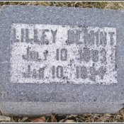 demint-lilley-tomb-west-union-ioof-cem.jpg