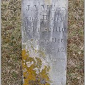 jackson-james-s-tomb_-jacktown-cem.jpg