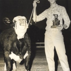 award in steer show.jpg