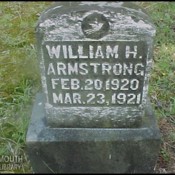 armstrong-wm-h-tomb-odle-piatt-cem-nile-twp-_0.jpg