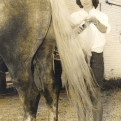 getting horse ready for show.jpg