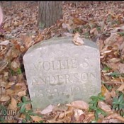 anderson-mollie-s-tomb-williamson-cem-washington-t-1.jpg