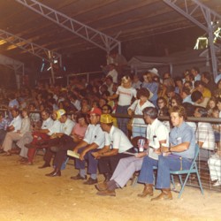 livestock auctions 1970s.jpg