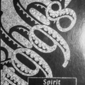 1998 PEHS Yearbook.pdf