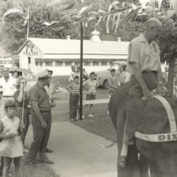 1960s circus elephant.jpg