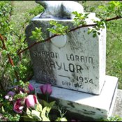 taylor-sharon-lorain-tomb-mt-joy-cem.jpg