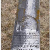 ellison-sarah-rebecca-tomb-village-cem.jpg