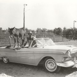 1970s clown with donkey.jpg