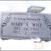 wise-mary-tomb-oswego-cem.jpg