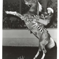 1970s rodeo 2.jpg