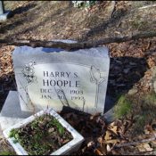 hoople-harry-tomb-otway-cem.jpg