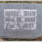 shaw-harry-tomb-west-union-ioof-cem.jpg