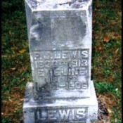 lewis-p-j-emeline-tomb-copas-cem.jpg